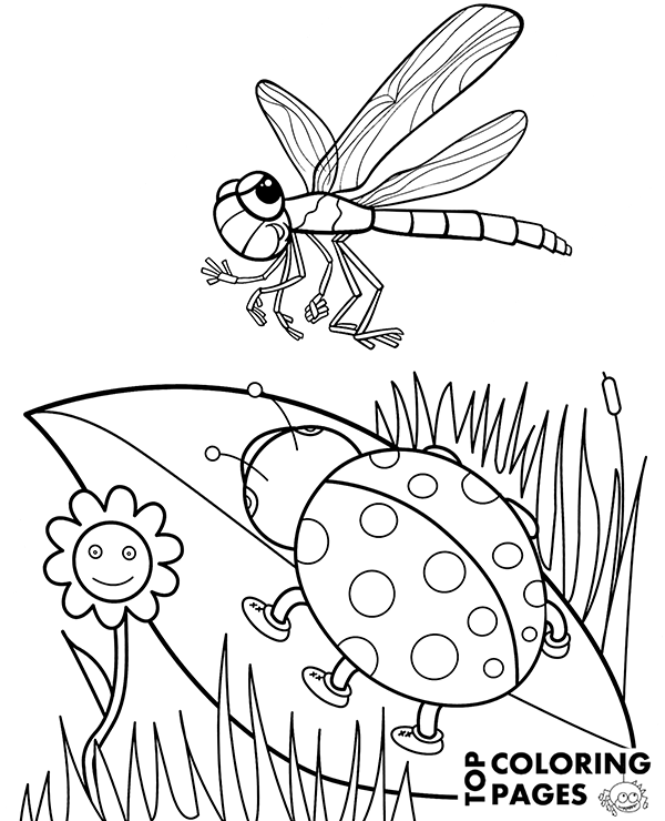 Ladybird and Dragonfly Coloring Sheet