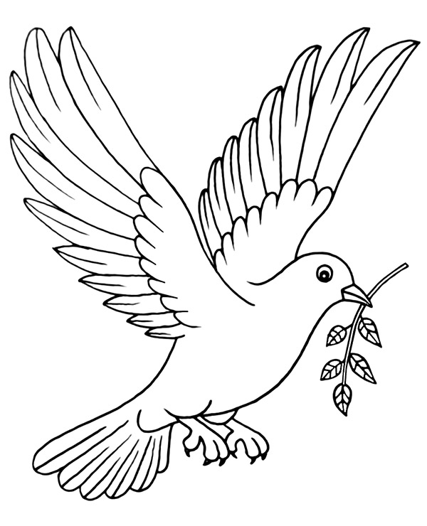 Pigeon Coloring Page Bird