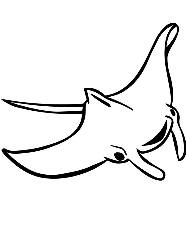 Stingray Coloring Page