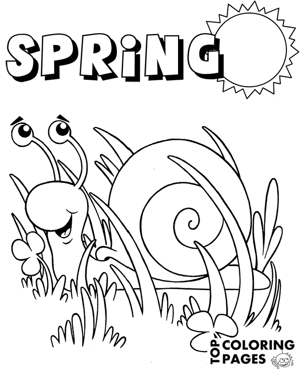 Snail Coloring Page Springtime